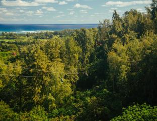 zip lining