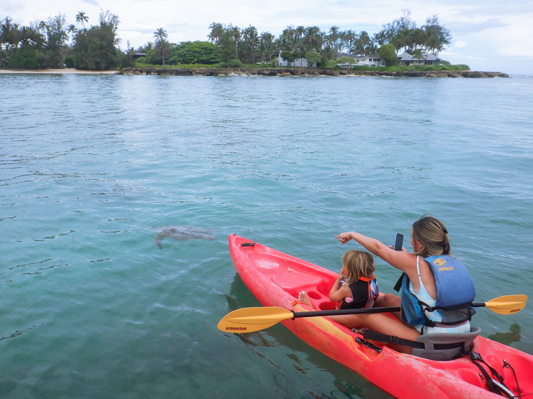 Turtle Kayak tour