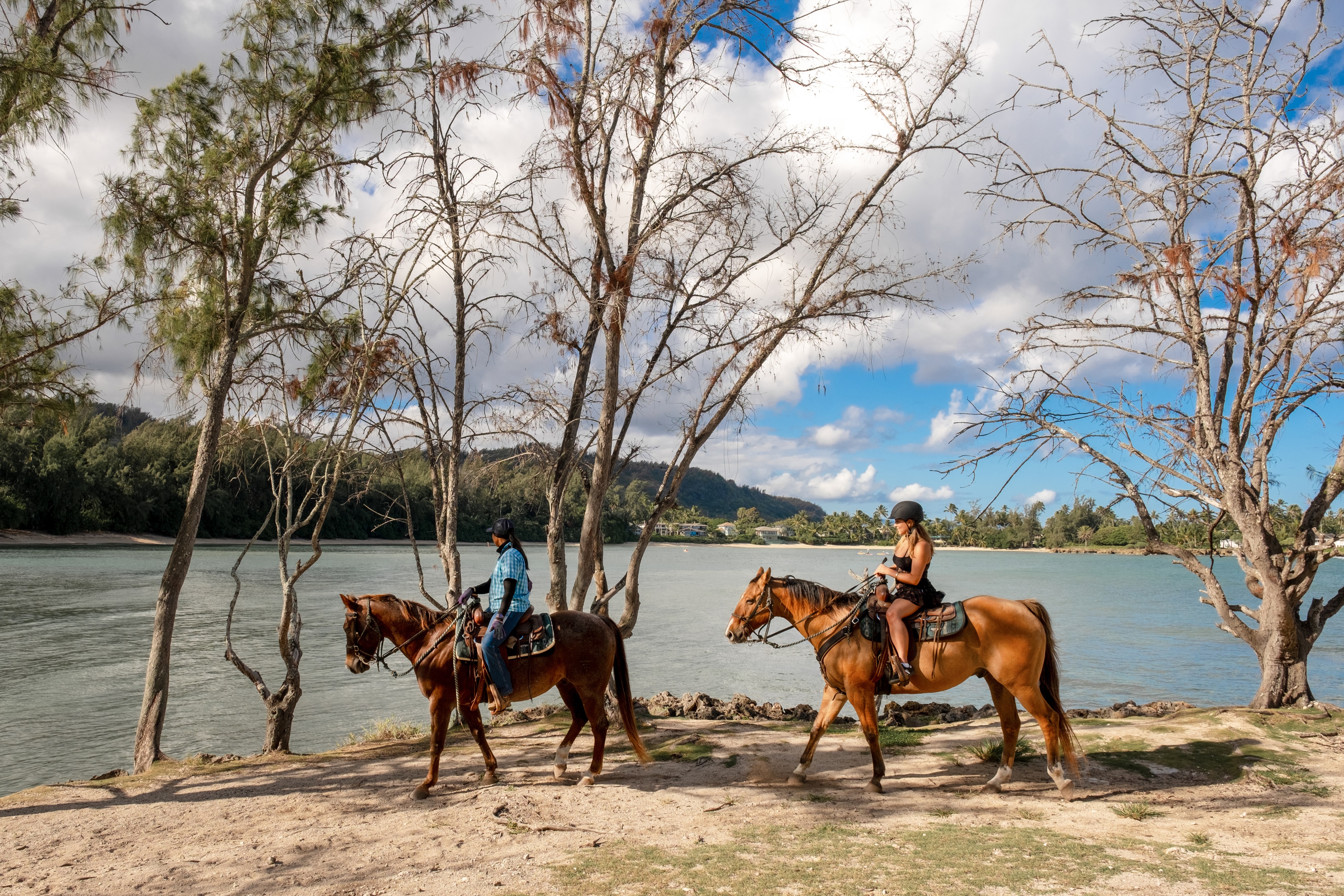 Horseback riding on the beach