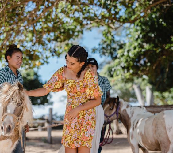 Pony Meet-n-Greet