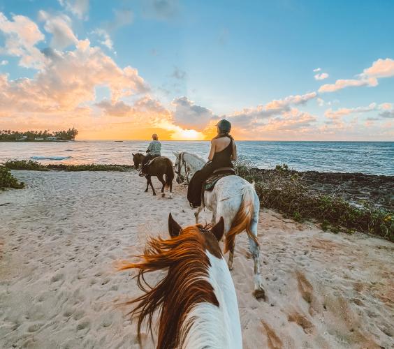 Horseback riding on the beach