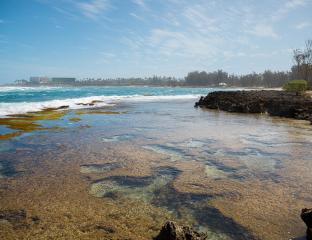 Hidden North Shore Beach