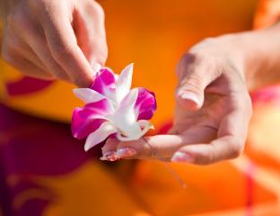 lei, plumeria, woman hands 