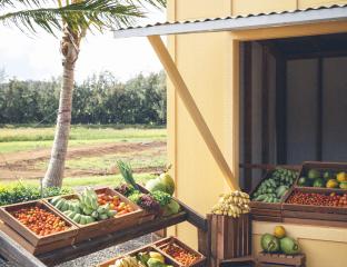 Kuilima Farm, stand, fruits, farmers