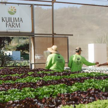 Kuilima Farm at Turtle Bay Resort