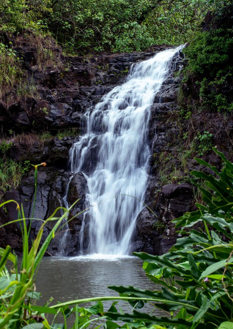 A North Shore Treasure: Waimea Valley | Turtle Bay Resort