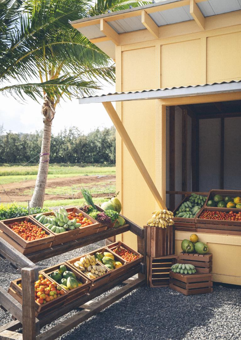 Kuilima Farm, stand, fruits, farmers