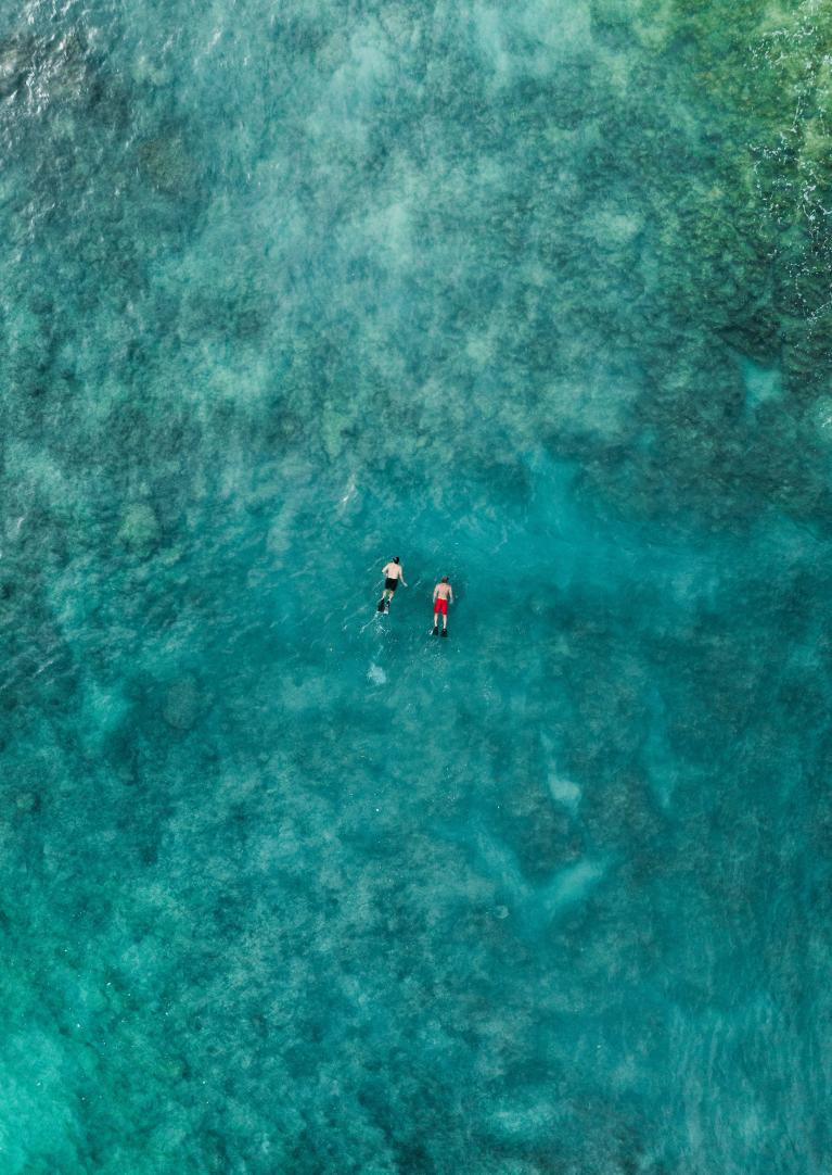 Kuilima Cove Snorkeling